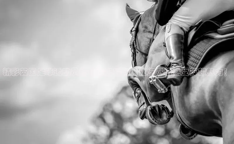 谈球吧体育app荣信文化精彩英国足球运动员打球精彩瞬间，让您尽情感受英超魅力！