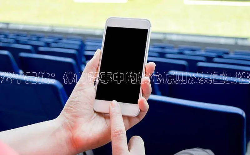 谈球吧壹网壹创公平竞技：体育赛事中的核心原则及其重要性