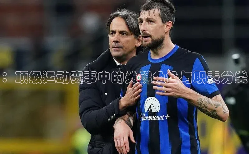 ：顶级运动赛事中的关键角色与职责分类