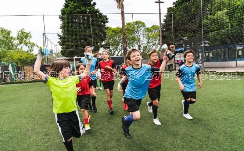 国家赛事的运动分类及其影响分析：基于国际大赛的经验总结