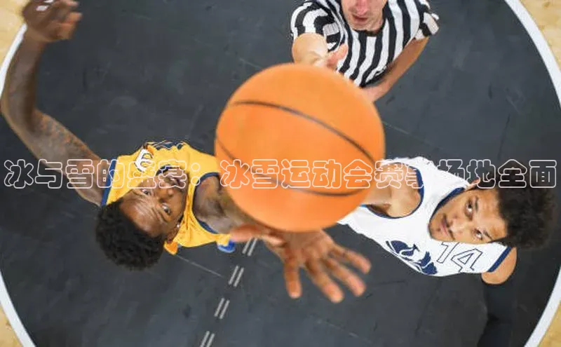 冰与雪的盛宴：冰雪运动会赛事场地全面