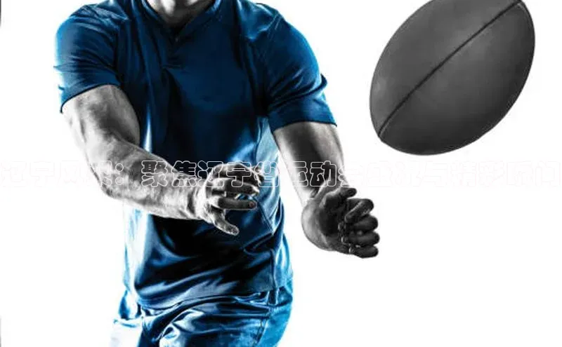 辽宁风采：聚焦辽宁省运动会盛况与精彩瞬间