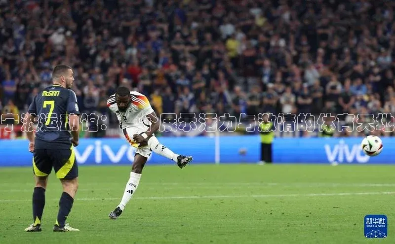 宁波运动馆：一个展示活力与激情的体育天地