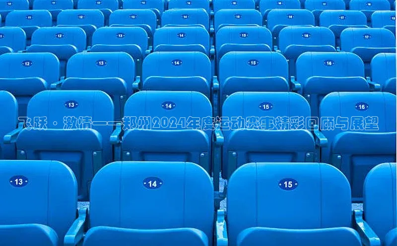 飞跃·激情——郑州2024年度运动赛事精彩回顾与展望