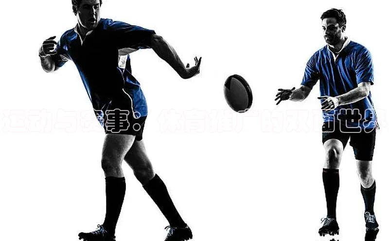 运动与赛事：体育推广的双面世界