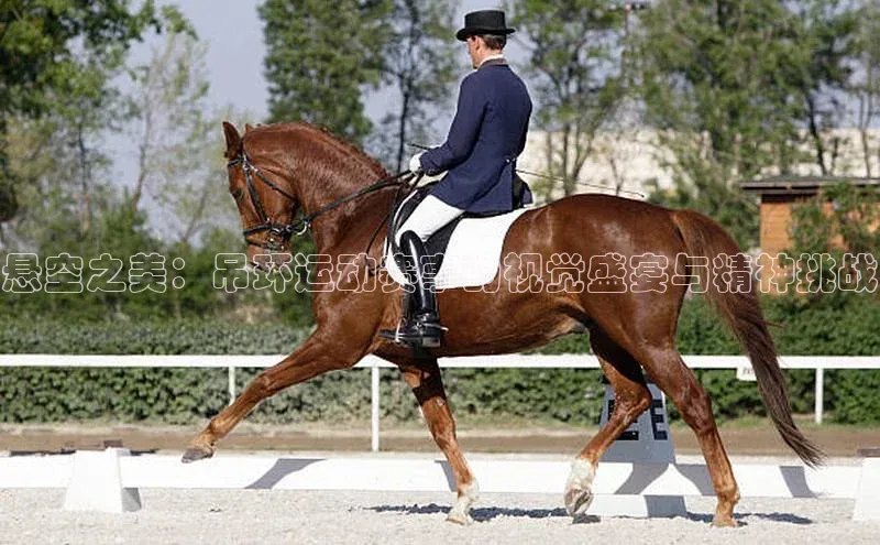 悬空之美：吊环运动赛事的视觉盛宴与精神挑战