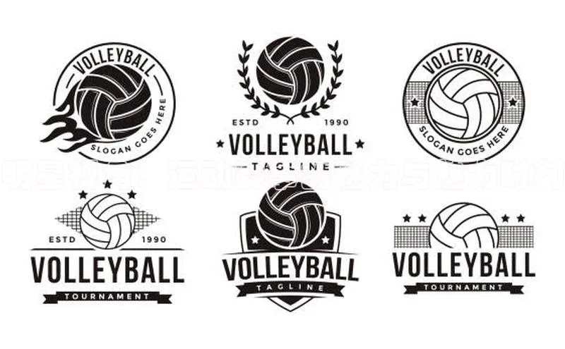 明星视角：运动赛事的魅力与魅力时刻