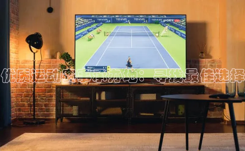 优质运动赛事承办地：寻找最佳选择