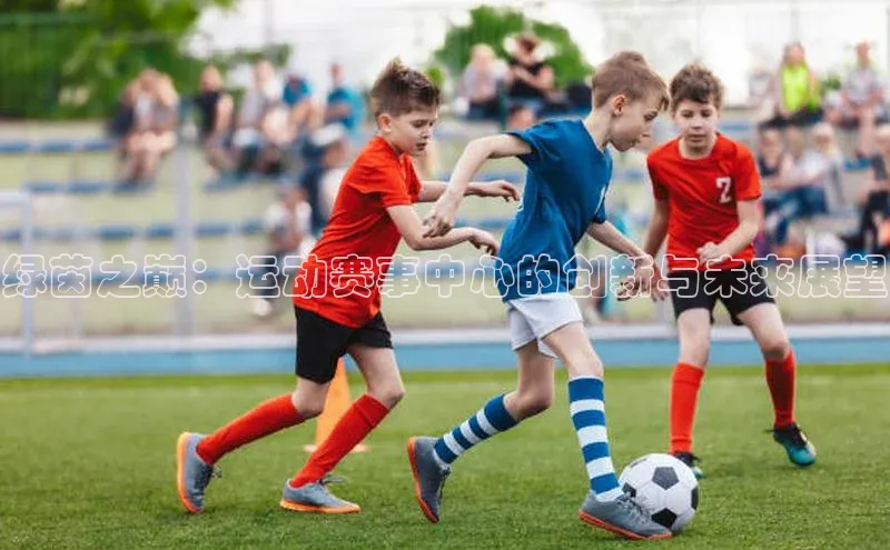 绿茵之巅：运动赛事中心的创新与未来展望