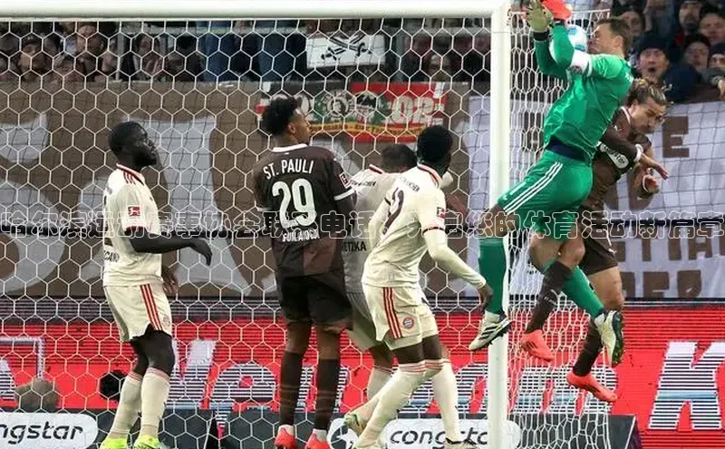 哈尔滨运动赛事协会联系电话：开启您的体育活动新篇章