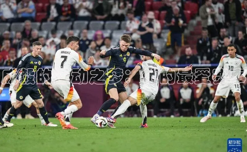 成毅的运动之梦：他的最爱赛事