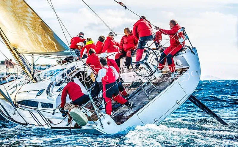 长跑的魅力：顶级赛事一览