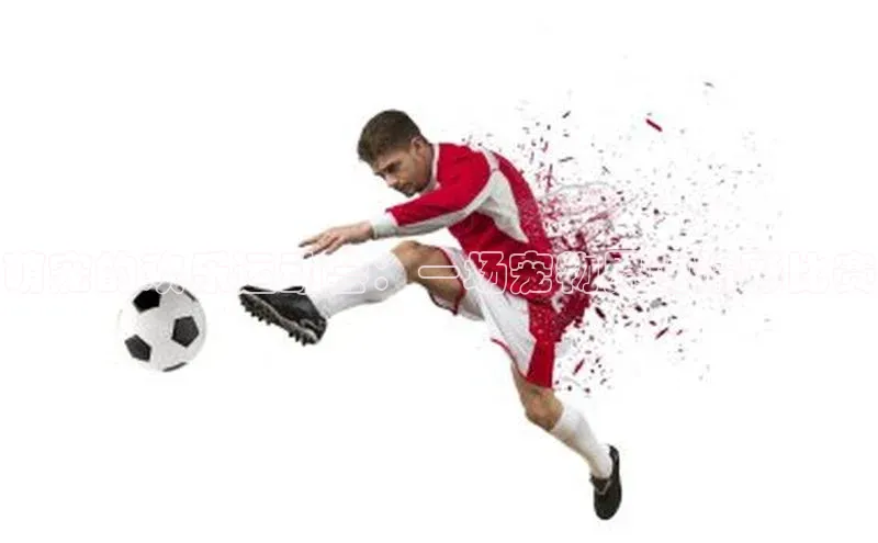 萌宠的欢乐运动会：一场宠物界的精彩比赛