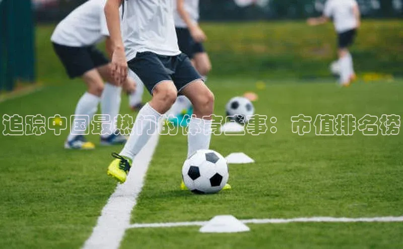 追踪中国最热门的体育盛事：市值排名榜