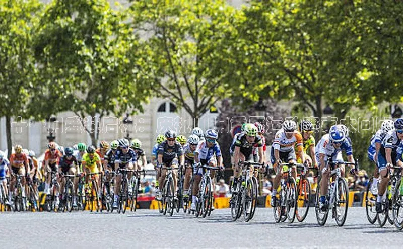 十一月盛装启程：庆祝11月重要运动赛事大回顾