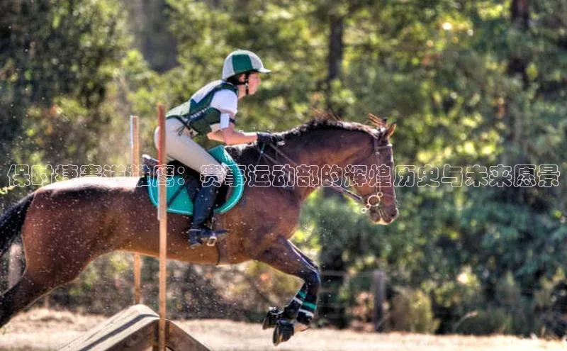 保时捷赛道雄鹰：赛事运动部的辉煌历史与未来愿景
