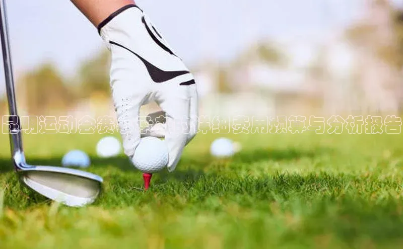 昆明运动会赛事承办的详细费用预算与分析报告