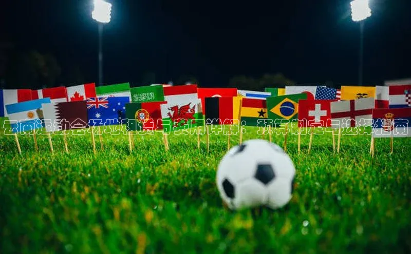 云南运动会场地租赁与费用详解：预算制定与选择指南