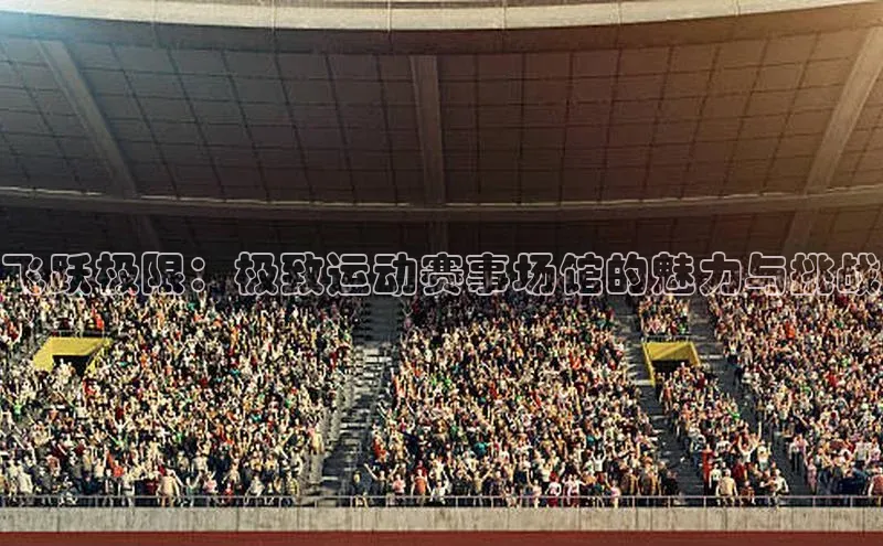 飞跃极限：极致运动赛事场馆的魅力与挑战