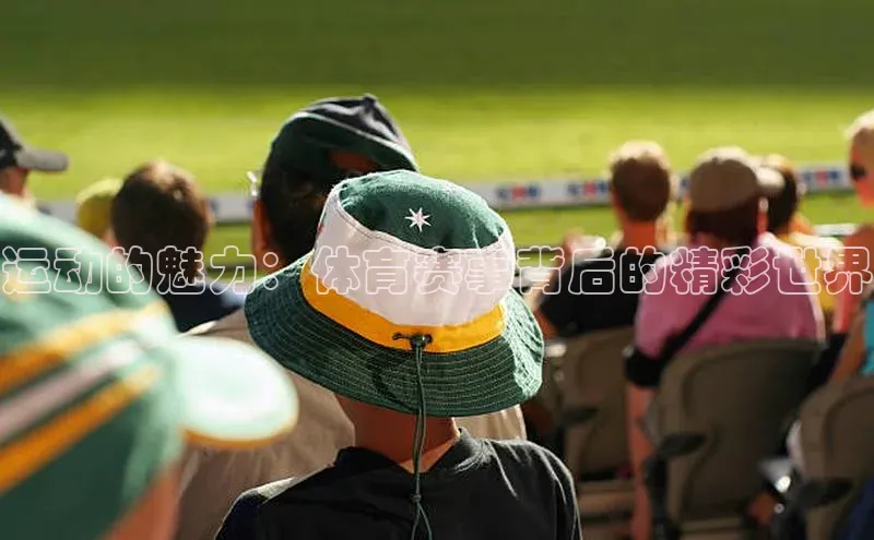 运动的魅力：体育赛事背后的精彩世界