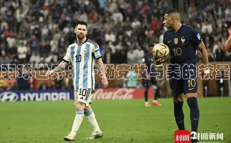 羽球世界：一场竞技与美的较量